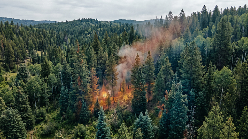 Early Fire Detection with Thermal Anomaly Monitoring